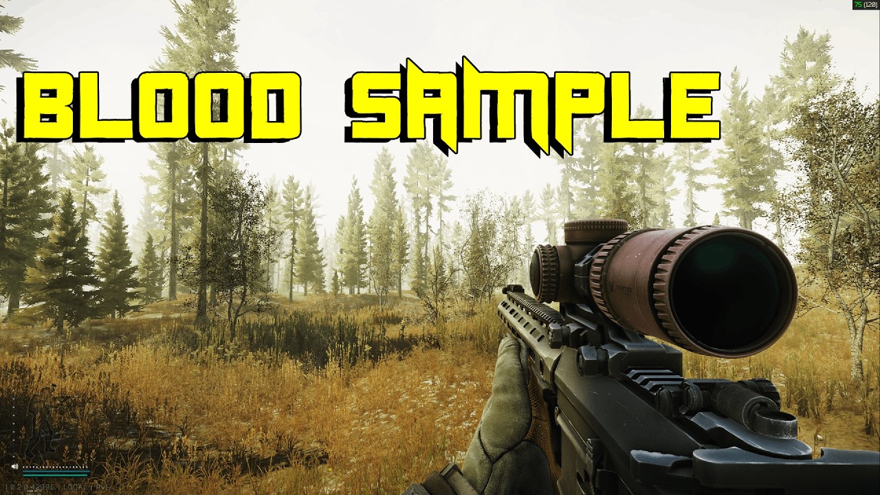 Bunker Spelunker (EFT 1.0 Full Release, Health Care Privacy Pt. 3 Quest Complete Guide)