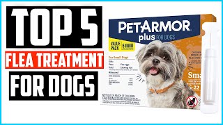 ✅Top 5 Best Flea Treatment for Dogs Review in 2024