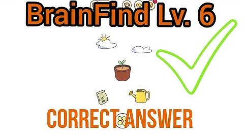 BrainFind Level 6 Correct Answer
