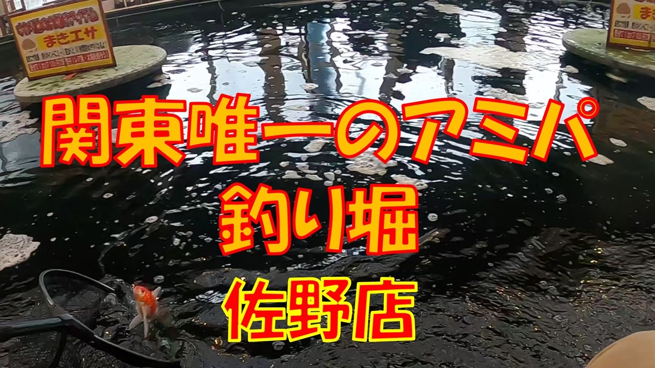 関東唯一のアミパ室内釣り堀＠栃木県佐野店