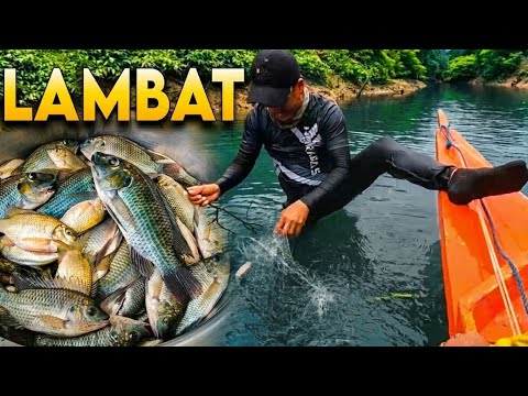 LAMBAT