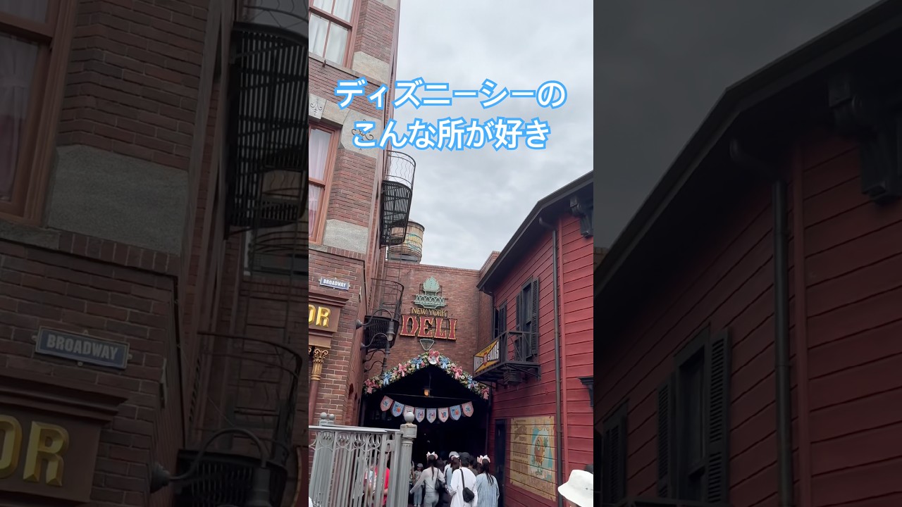 ディズニーシーのこんな所が好き【ニューヨークデリ】 - YouTube