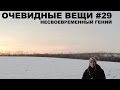 Несвоевременный гений (Очевидные вещи #29)