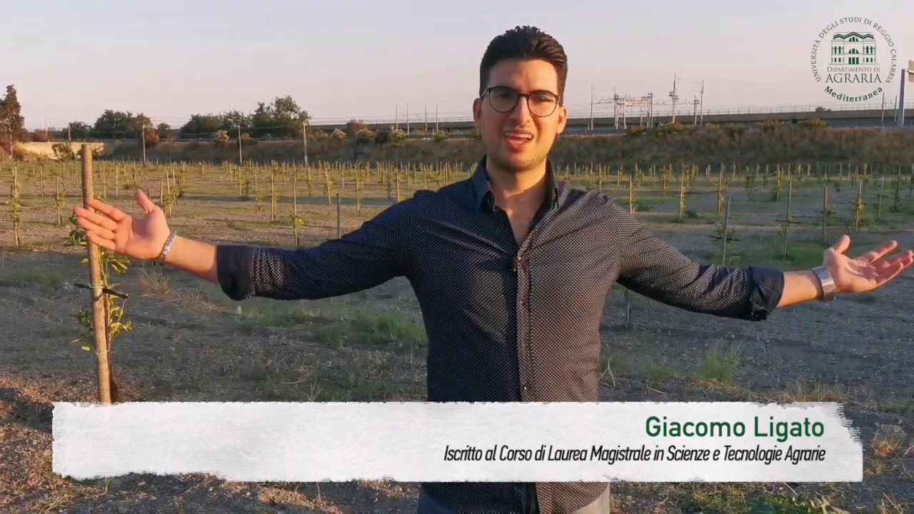 Laurea In Agraria Quanti Anni Sono