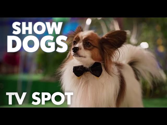 Watch film Show Dogs | "Justice Nick" TV Spot