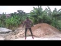 FLOWKING STONE ELECTRIC OFFICIAL DANCE VIDEO BY K GZII mp3