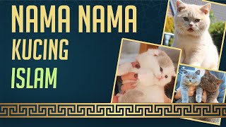 Nama Kucing Yang Bagus Dalam Islam