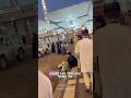 Kasih Makan Kucing Di Mekkah Dan Madinah Waktu Umroh #shorts #cat #catlover #streetfeedingkucing