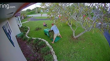 Florida Man Tumbles Into Wheelie Bin During Garden Cleaning