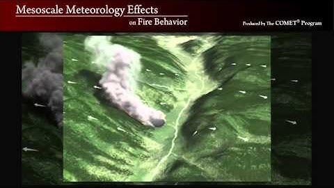 Mesoscale Fire Behavior