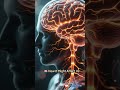 "Earth Is Speeding Up?! What’s Happening in July and August 2025" #sciencefacts #ytshorts #trending