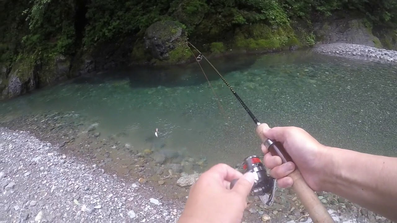 日高源流オショロコマ入れ食い Youtube