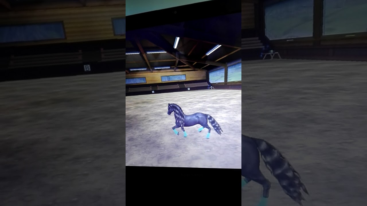 Dressur Royalhope ❤