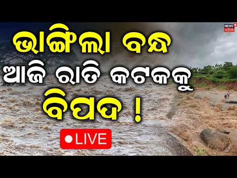 ଆଜି ରାତି କଟକ ପାଇଁ ବଡ଼ ବିପଦ ! LIVE Chitrotpala River Erosion In Cuttack । Flood in Odisha । Odia News
