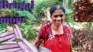 How to make wambatu moju. Brinjal moju at home - village food - sinhala