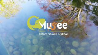 Les Jardins Du Musée Dhistoire Naturelle Et Vivarium De Tournai - Partie 2