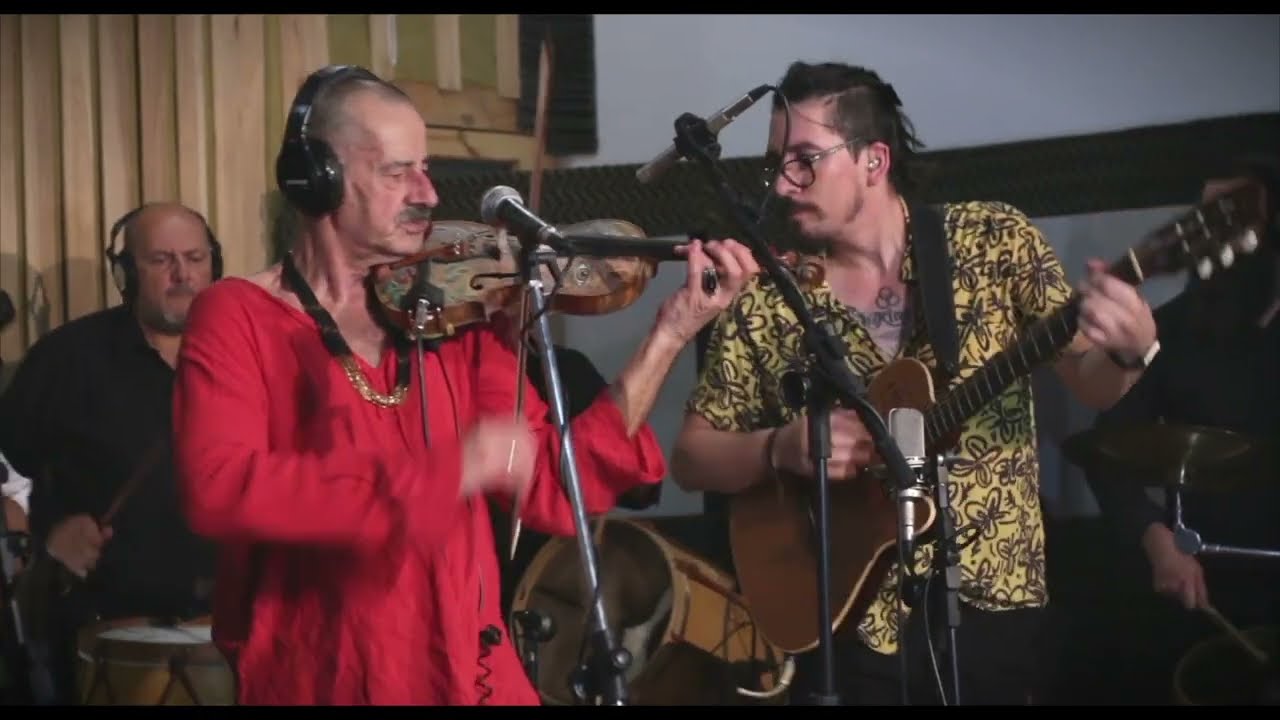 El viejo salamanquero (gato) Autor Daniel Cañueto.