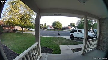 Wasps Attack Man at Mailbox || ViralHog