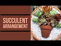 Succulent arrangement idea  valesews