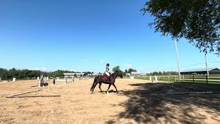Allison Fox - July 2026 USEF Training Level Test 1