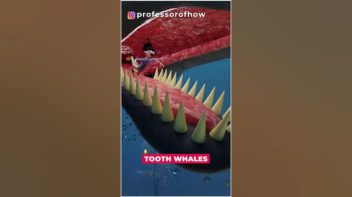 😲What if Whale Swallowed You (ALIVE)? - By Kishor Singh #shorts - DayDayNews