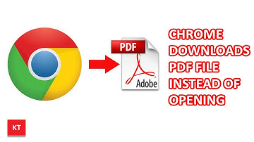 Chrome downloads PDF instead of opening