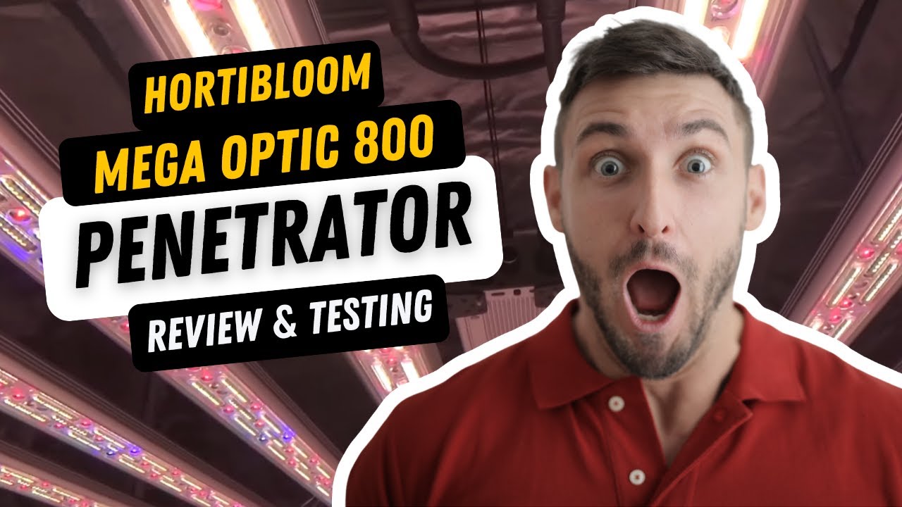 The Penetrator Cometh! Hortibloom Mega Optic 800 Penetrator Review & Testing!