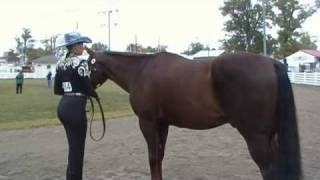 Showmanship Part 3