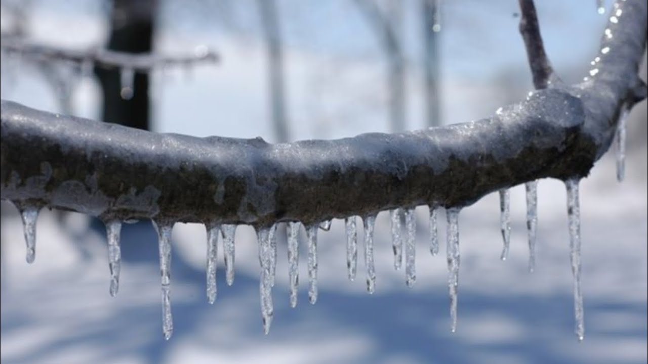 A historic Cold Christmas bomb Cyclone Could Bring Blizzard Conditions.