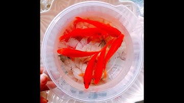 Thả Ca Chép Ông Công Ông Táo | Eva TV