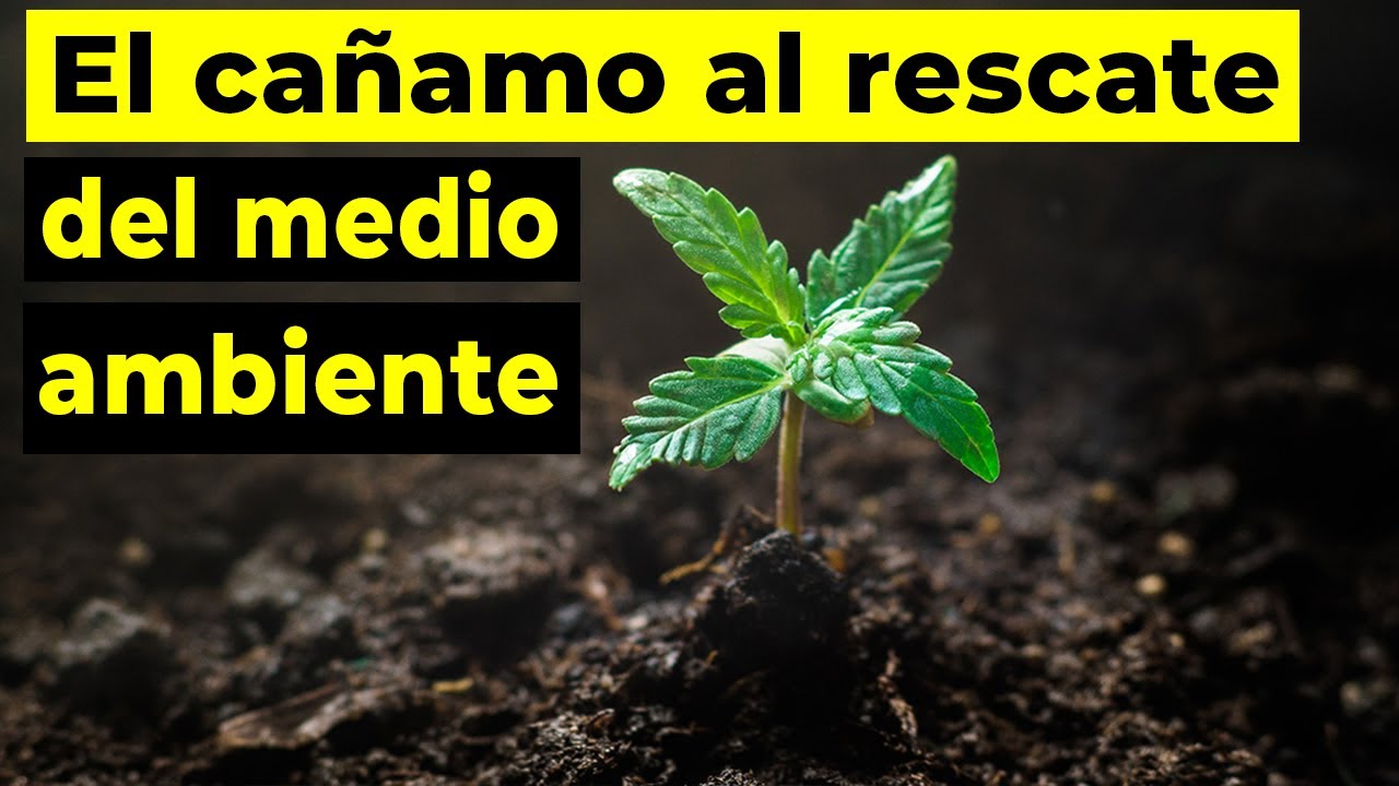 La era industrial del cáñamo y la lucha contra el calentamiento global