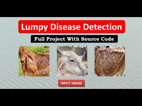 Lumpy Disease Detection Using Deep Learning | Image Processing Using Matlab Code | Machine Learning