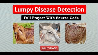 Lumpy Disease Detection Using Deep Learning | Image Processing Using Matlab Code | Machine Learning