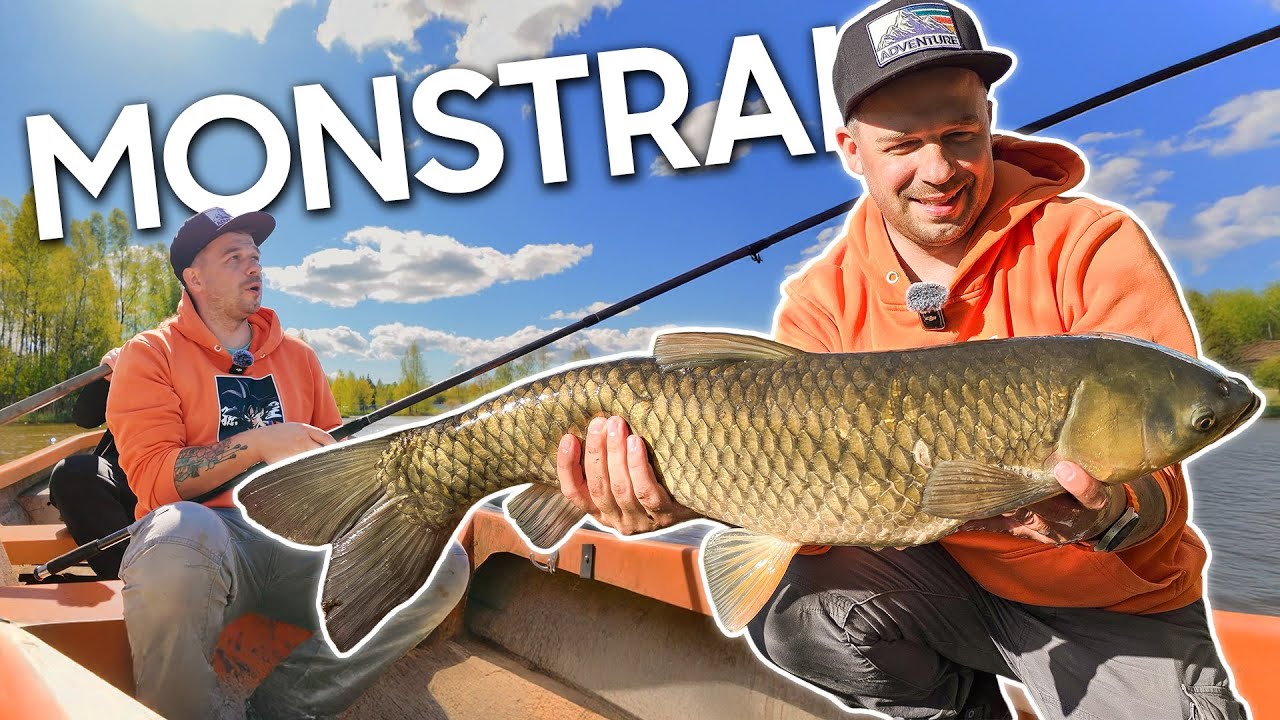 Valtis ir AMŪRAI... Suderinama? Nepatikėsite, bet TAIP!!!