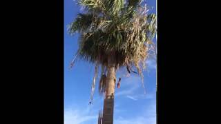 IMG 1622