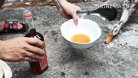 Hướng dẫn chi tiết hãm tiết canh bằng nước mắm nam ngư từ A đến Z xem là làm được