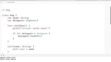 11 Delegate Protocol Intro