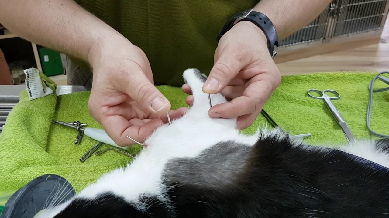 External Fixators and Their Workings YouTube