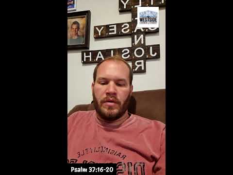 Video preview