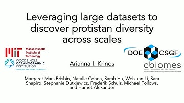 DOE CSGF 2023: Leveraging Large Datasets to Discover Protistan Diversity Across Scales