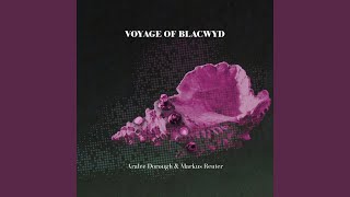 Download Lagu Lost Birds of Lilikoi MP3