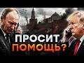 ⚡ ЭТО  ВПЕРВЫЕ! ПУТИН ПРОСИТ ТРАМПА ЗАЩИТИТЬ МОСКВУ НА 9 МАЯ! @TIZENGAUZEN