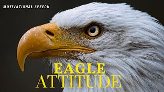 The Eagle Mentality | 5 rules of Eagle | #motivation #eagles #mrwaqar