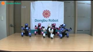 Shakira - Waka Waka (This Time for Africa, Genibo SD Robot Dance Team)