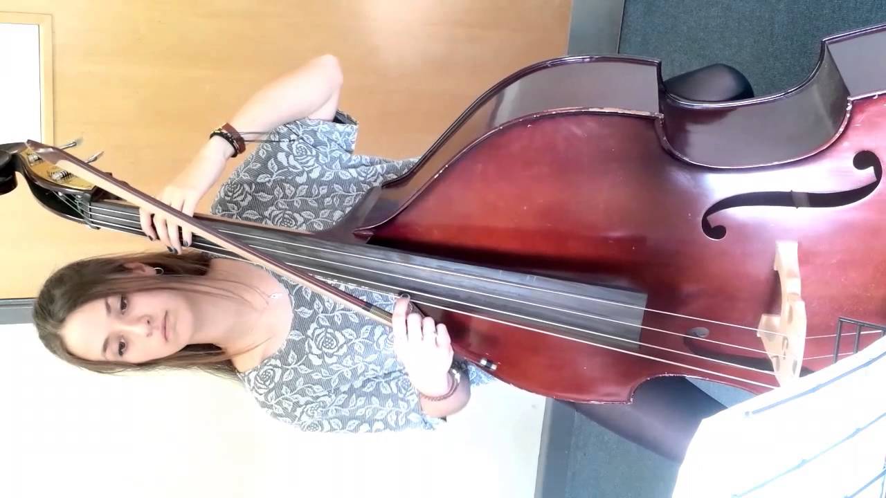 Alan Ridout concerto for double bass and strings