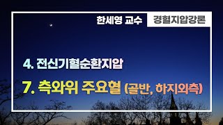 경혈지압강론 4-7. 측와위 주요혈 (골반, 하지외측)