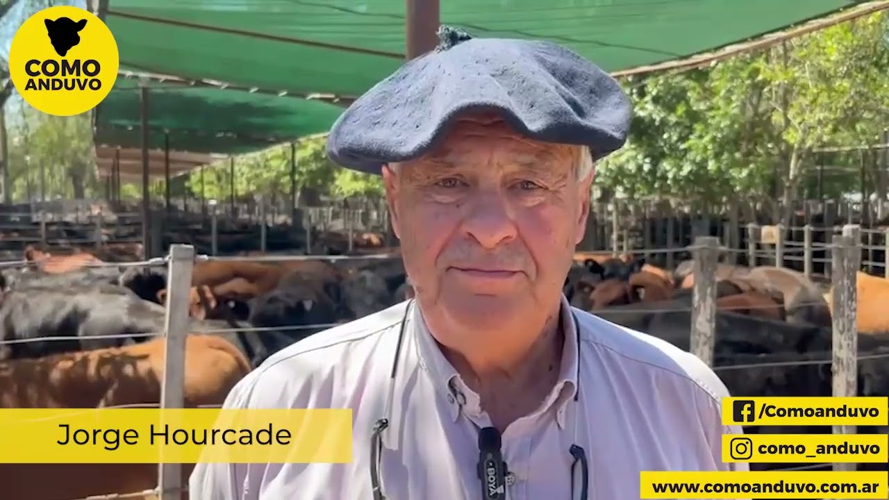 Jorge Hourcade. Especial de Machos de Hourcade Albelo y Cía.  Rauch 19/2/26.