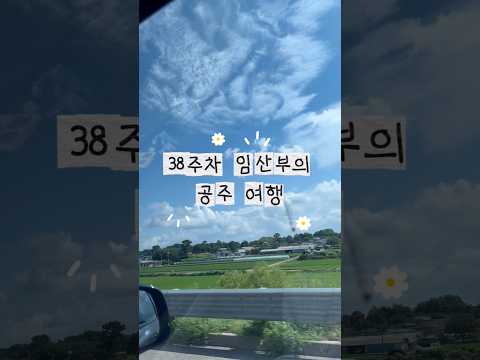 38주차 임산부의 공주 여행