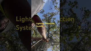 Lighting Protection System On 130 Ft Tulip Poplar arborist treeclimbing treecare lps treework