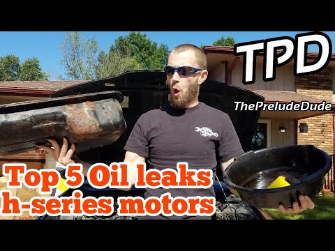 Honda Prelude oil leaks H22 & H23